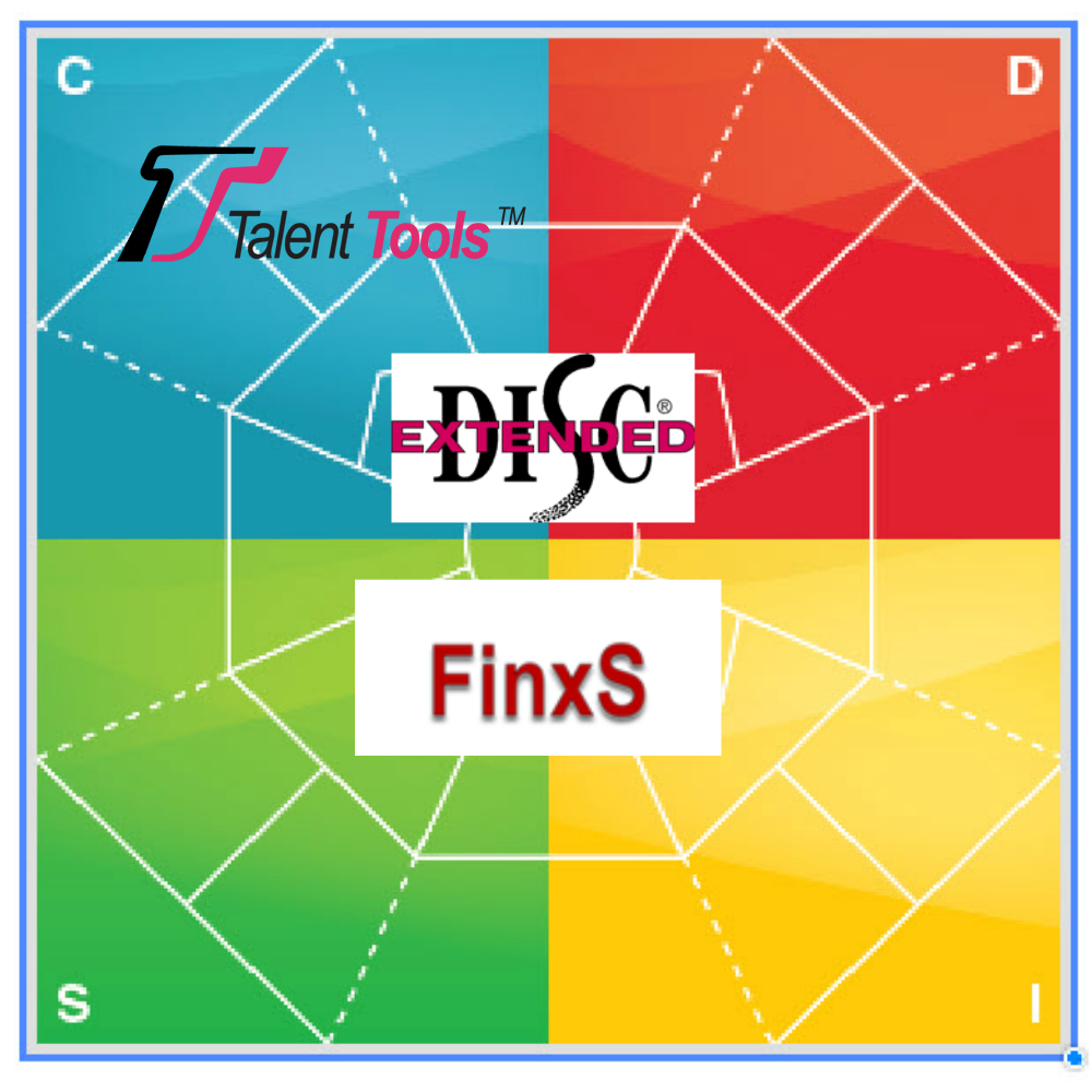 Extended DISC & FinxS Profiles and Reports at Talent Tool
